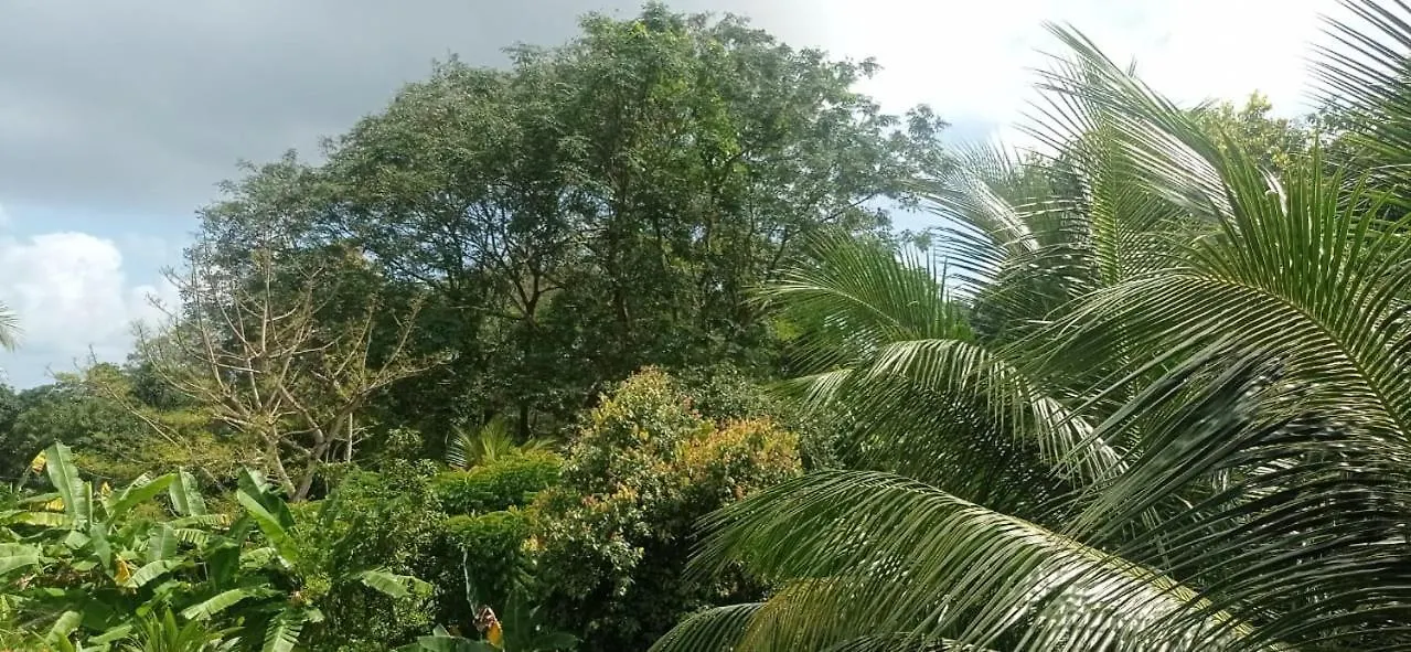 Ecolodge Self-Catering 3 Port Glaud 0*,